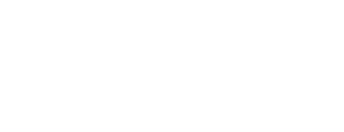 BMC Air Filter